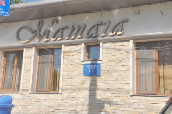 Mamaia SA, Litoral SA şi Neptun Olimp, în atenţia Guvernului